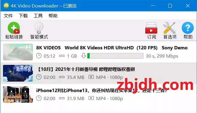 4K Video Downloader_v4.31.0.0091/专业的B站视频下载器