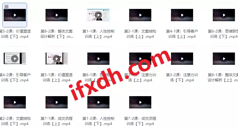 价值12800元的文案写作视频/全程指导你写作/共16课时